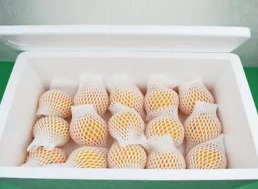 泡沫箱