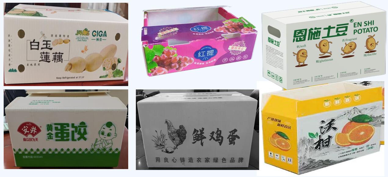 磷石膏中空板包装箱